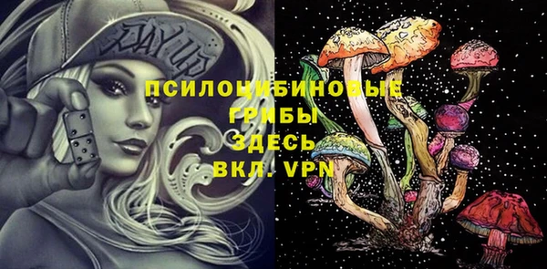 гидра Алексин