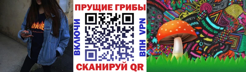 Псилоцибиновые грибы Psilocybe  блэк спрут как зайти  Узловая  наркота 