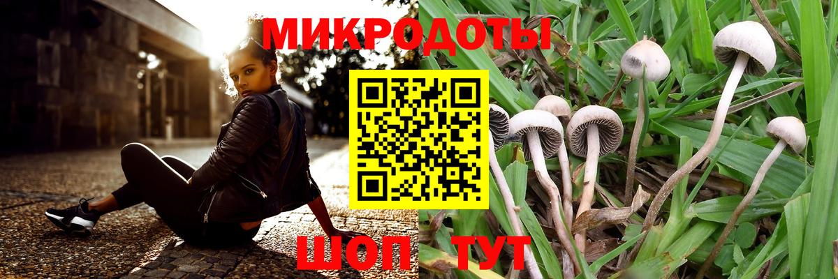 Галлюциногенные грибы Cubensis  Вход с VPN  Псилоцибиновые грибы прущие грибы  Узловая 