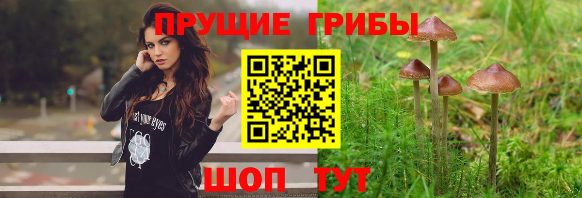 МЕФ кристаллы  Марихуана  ГАШ  Кокаин  Узловая  Меф МЯУ МЯУ  Alpha PVP СК   Гашиш  Вход с VPN 